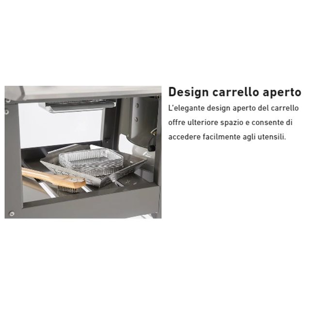 Vendita online Barbecue Spirit II E210 GBS